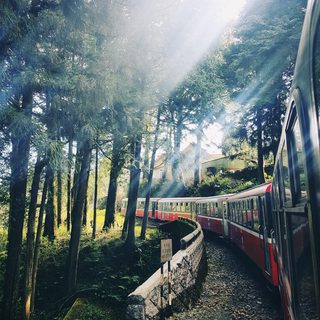 아리산 산림열차